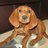 jsmarshall4's profile image