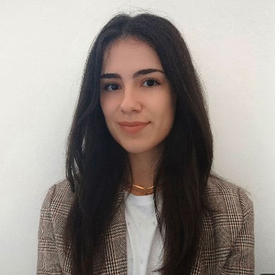 Assistant International Head Hunter at ProPosition Management Search