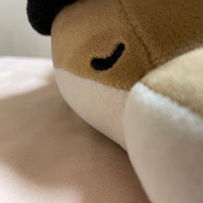 I5t9wBfE9mgKIoB's profile picture. 現役「文系」大学生✏️プログラミング完全未経験で勉強中です！IT系のプロから同じような初心者の方までいろんな方と繋がりたいです！💻目標はとりあえず報酬を得ること💰