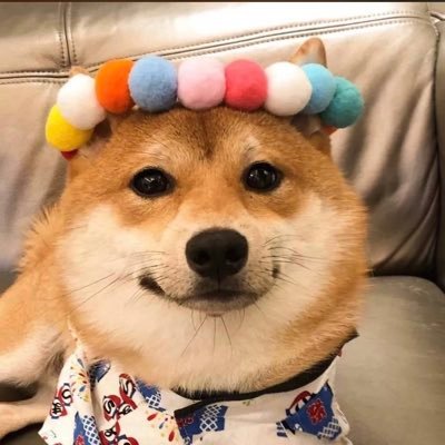 wangsong669's profile picture. 知善莫言