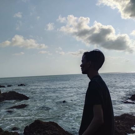 Insan biasa