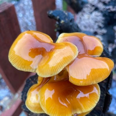 Patrick from Worcestershire🏴🇬🇧🇨🇮 Profile