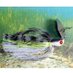 Turbo Buzz Lures (@bhoadventures) Twitter profile photo Turbo Buzz Lures (@bhoadventures) Twitter profile photo