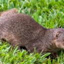 Brian Thuesen - @TZ3N - Twitter