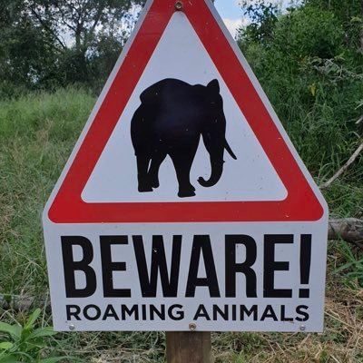 pepbartro2's profile picture. Ens mantindrem fidels per sempre més al servei d'aquest poble. Salvador Espriu