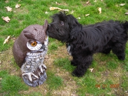 travelactuary's profile picture. 