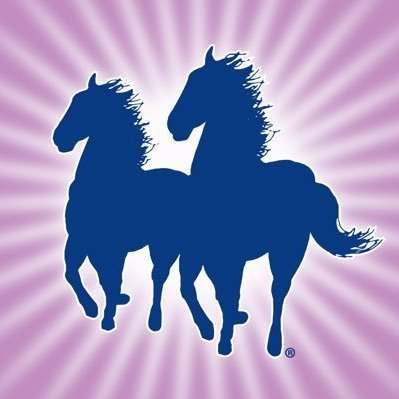 ManeNTail_EU's profile picture. Exclusive hair and skin care products renowned for our quality and performance in both the Equestrian and Human markets.