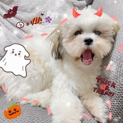 金融マンです。証券アナリスト。海外駐在経験有り。国際金融に従事。教育が必要。データサイエンスの勉強中。Pythonエンジニア認定データ分析試験とG検定を取得。