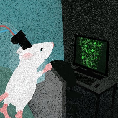 BBO lab | small things on small heads Profile