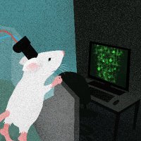 BBO lab | small things on small heads (@bbo_lab) 's Twitter Profile
