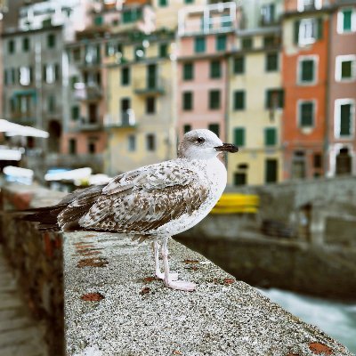 deyprapti87's profile picture. Student of Geography