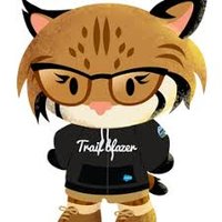 Chennai Salesforce User Group (@chennaisfug) 's Twitter Profile