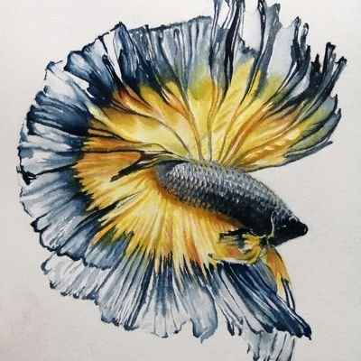 Danielさんのプロフィール画像