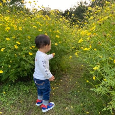 麦チョコさんのプロフィール画像