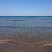 まっちゃ (@matcha_yo) Twitter profile photo