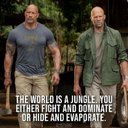 Nancy Raff - @NancyRaff - Twitter