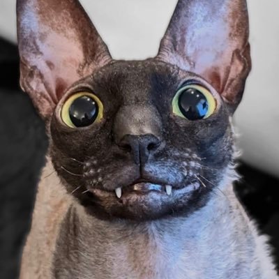 jetさんのプロフィール画像
