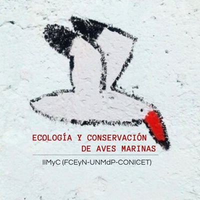 Grupo Ecología y Conservación de Aves Marinas y Costeras - IIMyC (UNMdP-CONICET)
#seabirds #seabirdecology #seabirdconservation seabirds.mdq@gmail.com