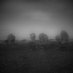 Isolated Community (@isolatedcomm23) Twitter profile photo Isolated Community (@isolatedcomm23) Twitter profile photo