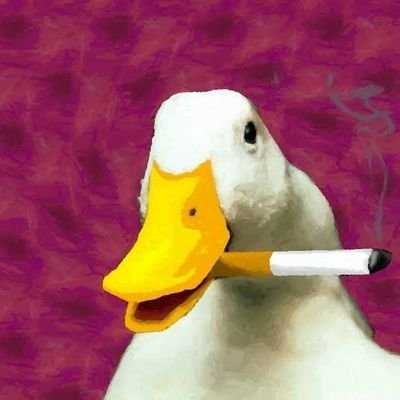 i_princemlhtra's profile picture. Might be a writer
