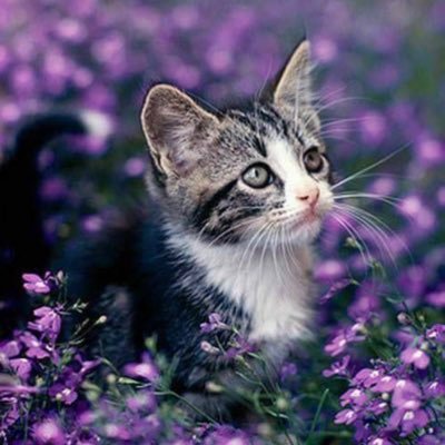 منتجات طبيعية ذات جودة تدعم صحتك للمزيد00966531503745. https://t.co/g3w4xQPRlM