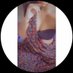 Neha Dixit Main (@nehaxofficiall1) Twitter profile photo Neha Dixit Main (@nehaxofficiall1) Twitter profile photo
