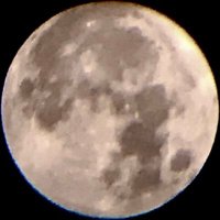 ﾋﾄﾘｻﾋﾞｼｲ (@d5khubyibcp2suc) 's Twitter Profile