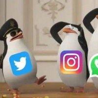 Adult 🇳👤 (@adult_lifeonly) 's Twitter Profile Photo Adult 🇳👤 (@adult_lifeonly) 's Twitter Profile Photo