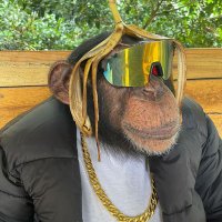 Dani Huerta (@_dhuerta) 's Twitter Profile