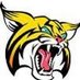 Boca High Girls Basketball (@bobcats_county) Twitter profile photo