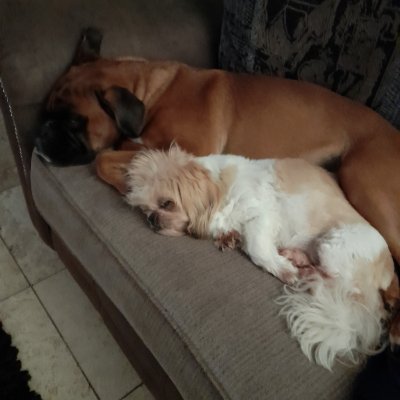 keishawaugh1_xx's profile picture. Love ma kids😚😚