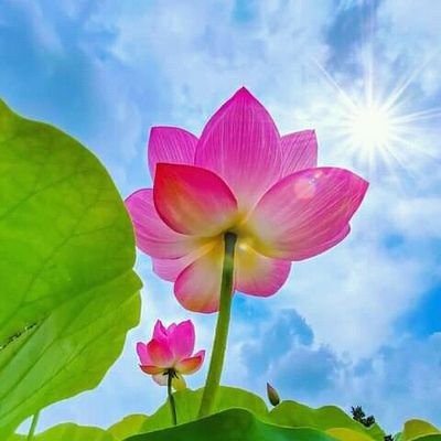 LCGa2021's profile picture. 
