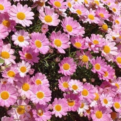 arunrat_28's profile picture. 