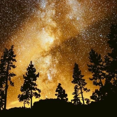 lily_k1703's profile picture. she/her.