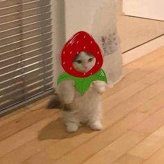 Laydy15さんのプロフィール画像