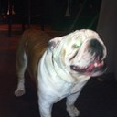 Andy Kirby - @andyalonso14 - Twitter