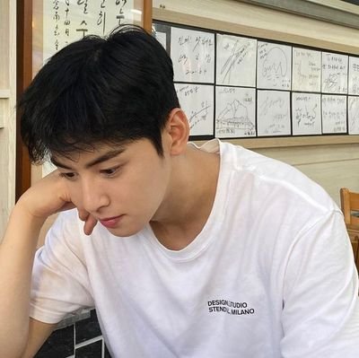 yanansui2's profile picture. 차은우
🐻