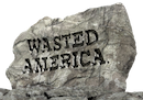 WastedAmerica's profile picture. WastedAmerica.com is dedicated to exposing government waste and PUBLICLY SHAMING the elected officials responsible for draining your tax dollars. Vote today!