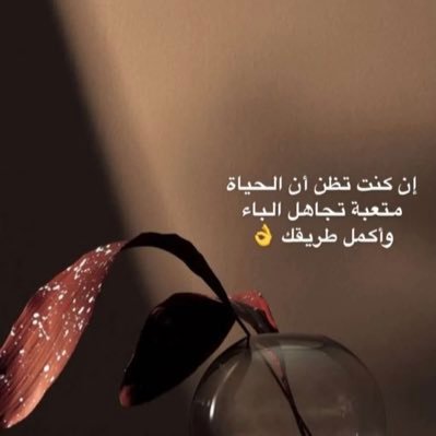 moonflwer20's profile picture. ”ولا تنبـتُ في قلبي ودًا لمن لا يصونه يا الله.”💔