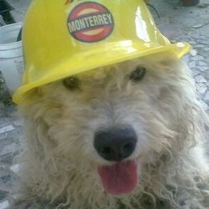 juan_heza's profile picture. Just a Smart Man, part time Hero & sometimes a Mad Hatter