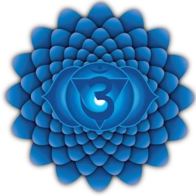 JamesGi26132869's profile picture. Determined to seek truth and knowledge till my dying day!