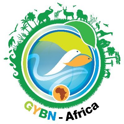 GYBNAfrica Profile Picture