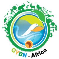 GYBN Africa(@GYBNAfrica) 's Twitter Profileg