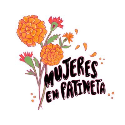 Proyecto de integración dedicado a la difusión y promoción del skate femenil en México.
#MujeresEnPatineta