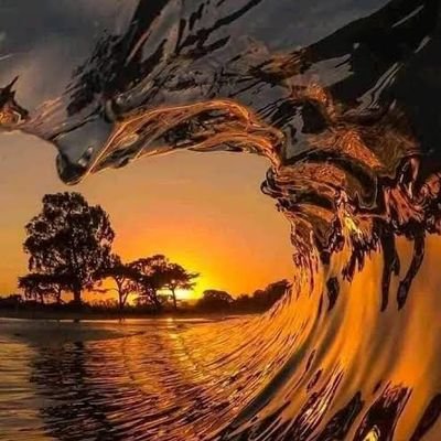 Sanjud_12's profile picture. Engineer I Software Cosultant I

                          “It’s the possibility of having a dream come true that makes life interesting.” – The Alchemist