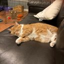 Tammy Cordeiro - @thuntcordeiro - Twitter