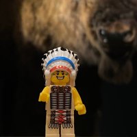 Joe D. Horse Capture(@NativeCurator) 's Twitter Profile Photo