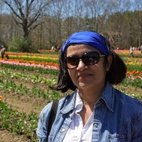 Ashita Parikh (@ashitaparikh) 's Twitter Profile