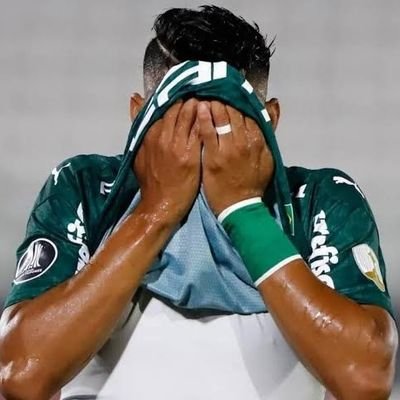 palmeirense_ve's profile picture. 