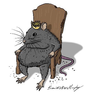 wootusart Profile